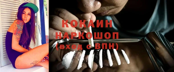шишки Горняк