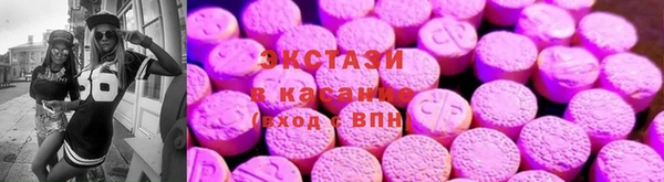шишки Горняк