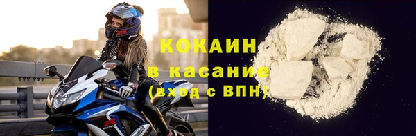 шишки Горняк