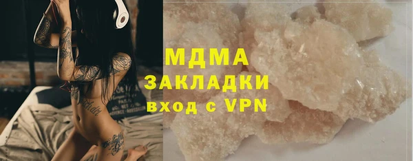 шишки Горняк