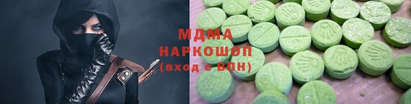 шишки Горняк