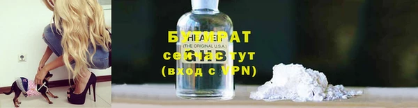 шишки Горняк