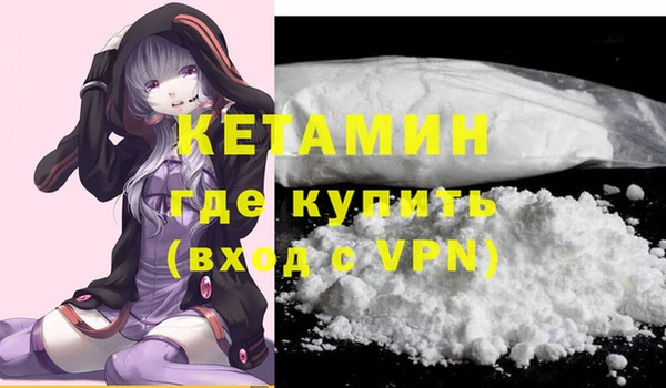 шишки Горняк