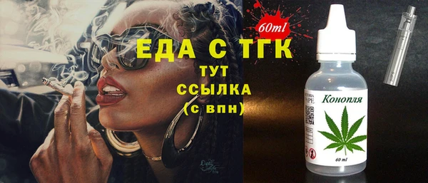шишки Горняк