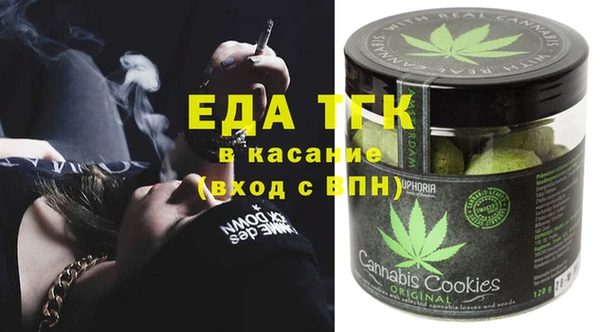 шишки Горняк