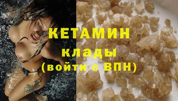 шишки Горняк