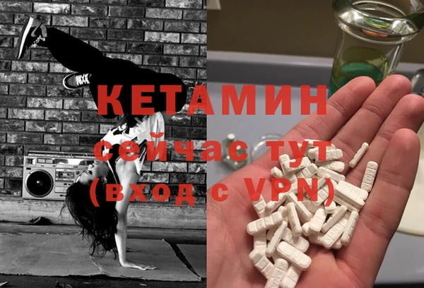 шишки Горняк