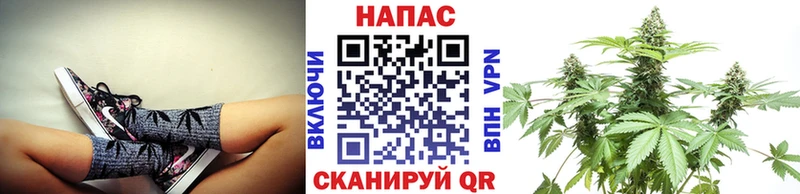 Марихуана THC 21%  где можно купить наркотик  Чернушка 